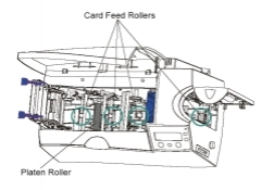 Cara Cleaning Fargo DTC550 